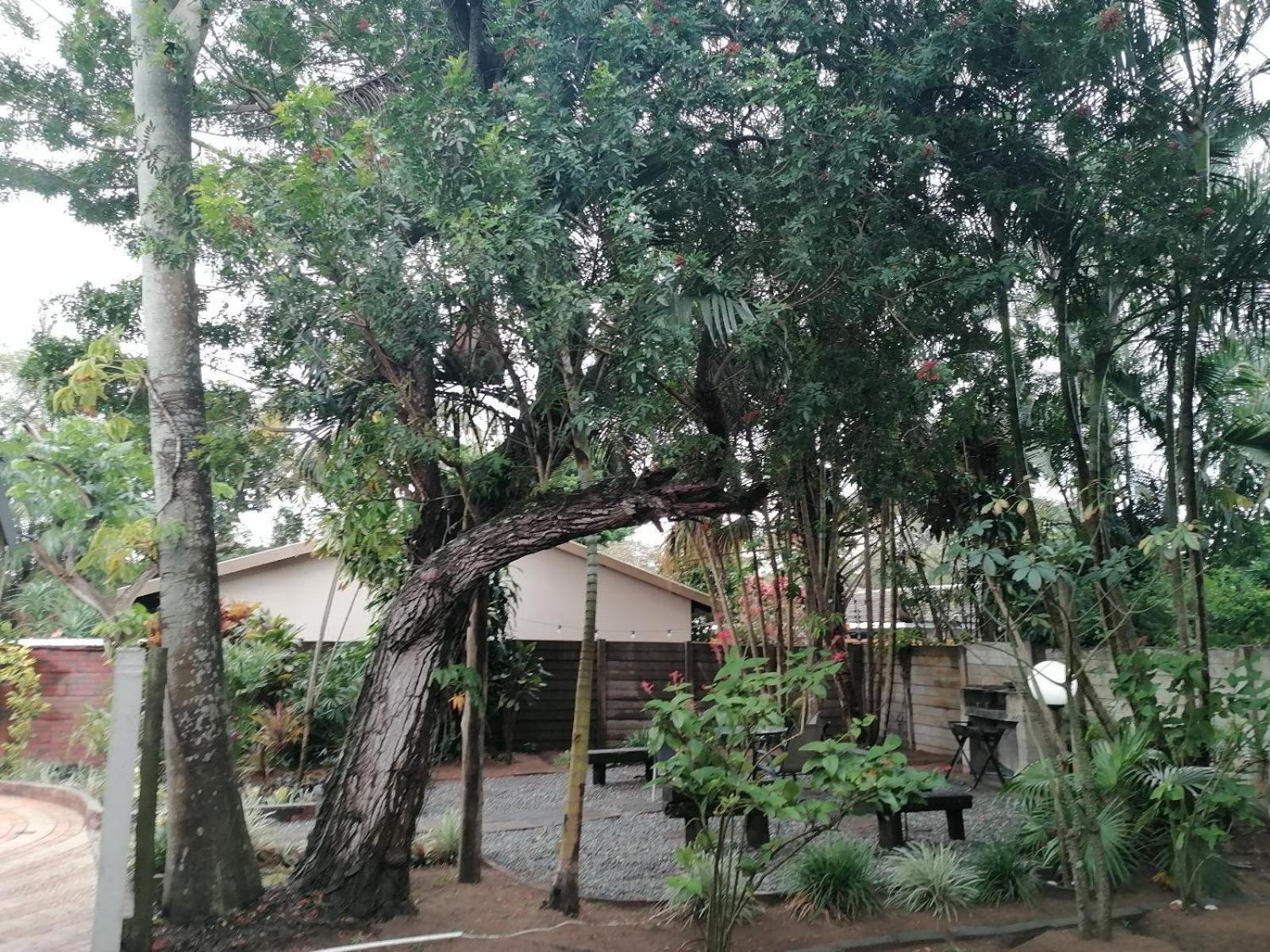 Nqabanqaba Bed and Breakfast Richards Bay Eksteriør billede